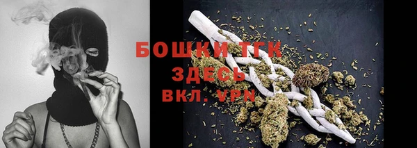 тгк Аркадак