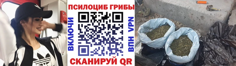 Галлюциногенные грибы ЛСД  купить  сайты  Чадан 
